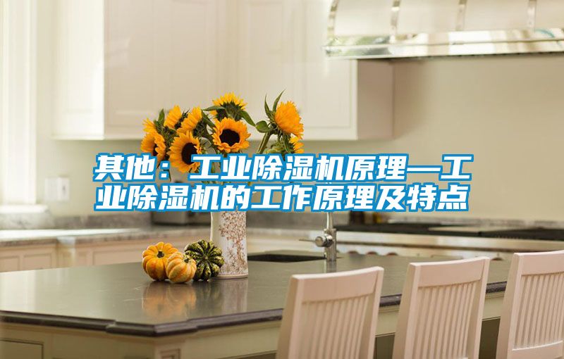 其他:工業除濕機原理—工業除濕機的工作原理及特點