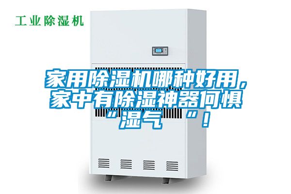 家用除濕機哪種好用,家中有除濕神器何懼 “濕氣 “!