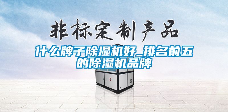 什么牌子除濕機(jī)好_排名前五的除濕機(jī)品牌