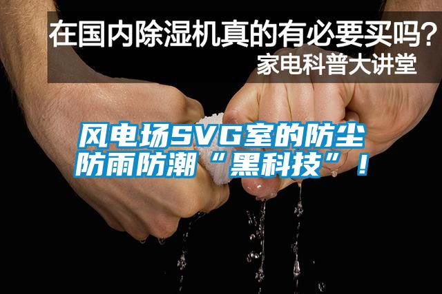 風(fēng)電場(chǎng)SVG室的防塵防雨防潮“黑科技”!