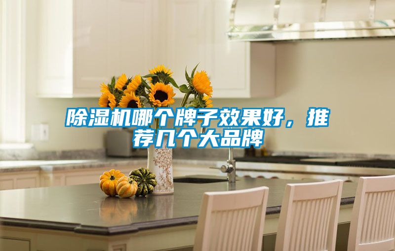 除濕機(jī)哪個牌子效果好,推薦幾個大品牌