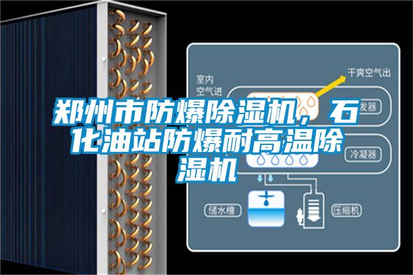 鄭州市防爆除濕機，石化油站防爆耐高溫除濕機
