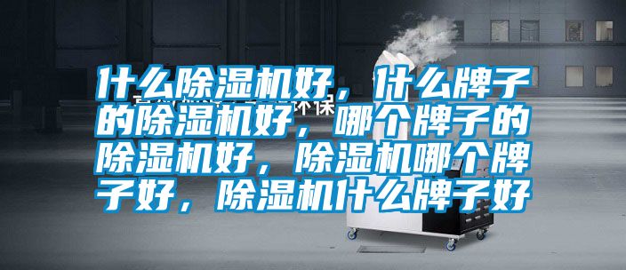什么除濕機好,什么牌子的除濕機好,哪個牌子的除濕機好,除濕機哪個牌子好,除濕機什么牌子好