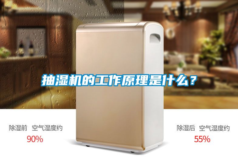 抽濕機的工作原理是什么？