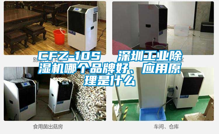 CFZ-10S  深圳工業(yè)除濕機(jī)哪個(gè)品牌好、應(yīng)用原理是什么